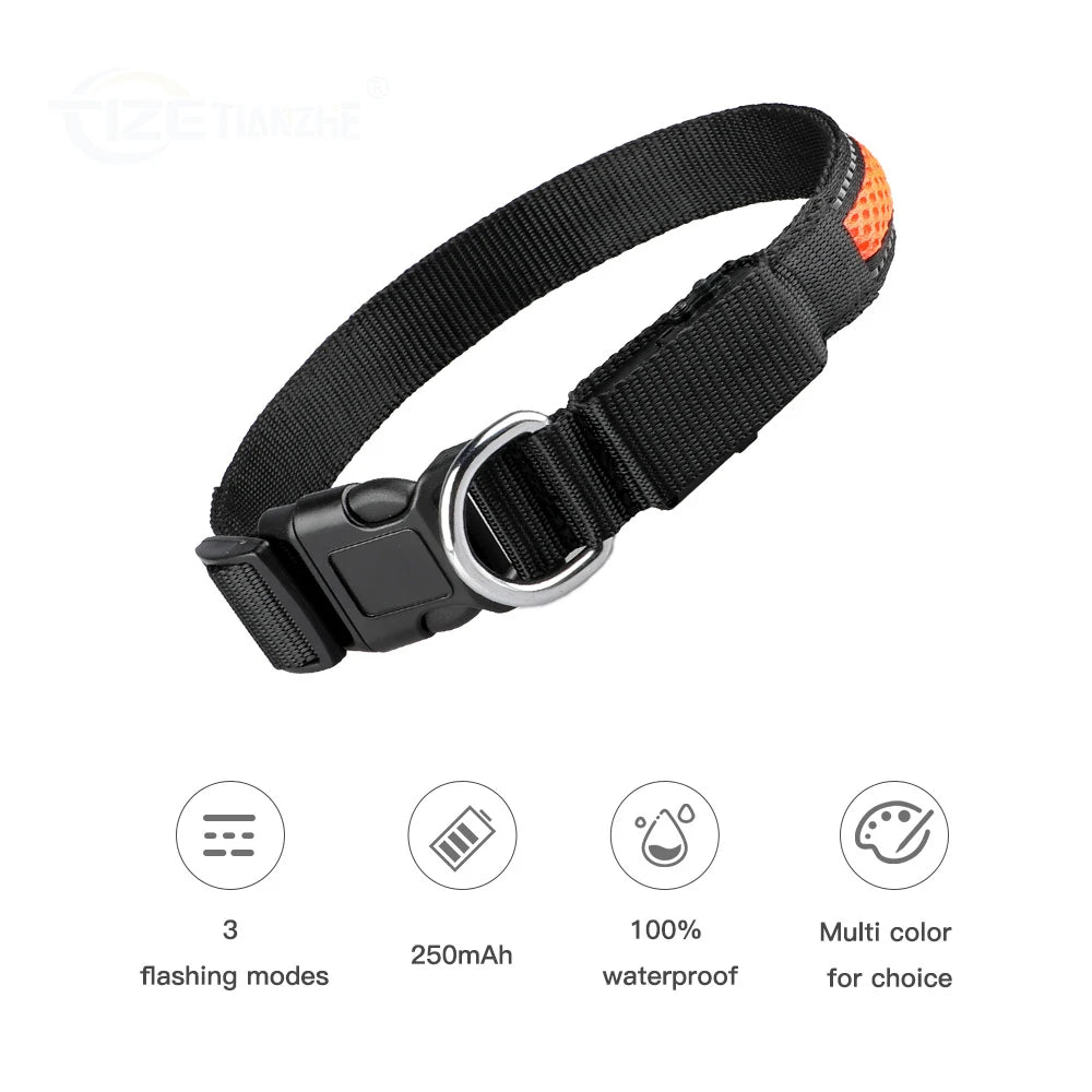 LED Night Safety Nylon Dog Collar