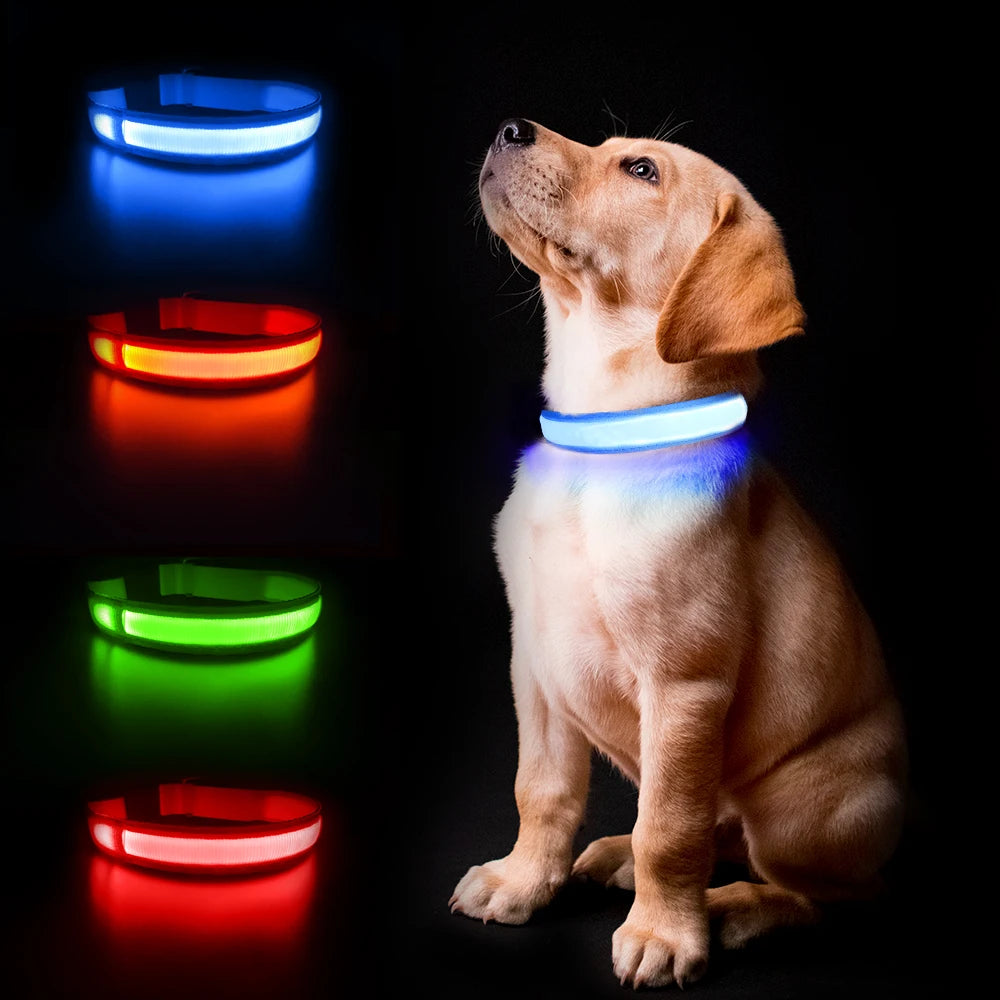 Luminous Pet Dog Collar