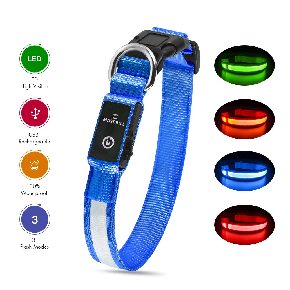 Luminous Pet Dog Collar