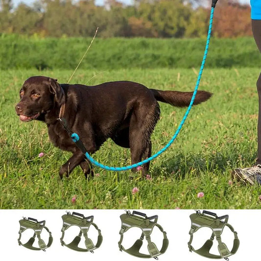 Reflective Dog Walking Harness