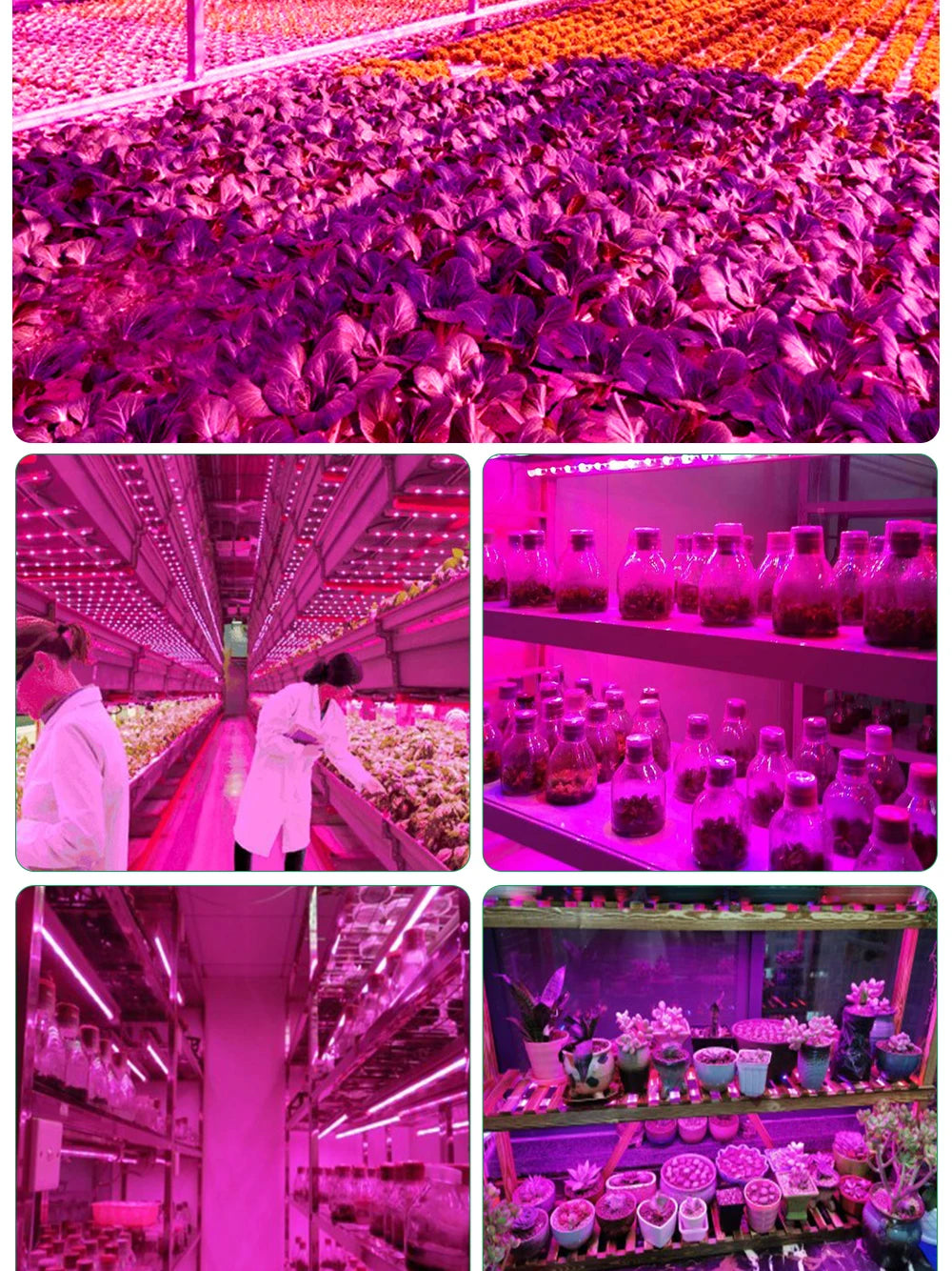 5V USB Led Plant Growing Light  Full Spectrum Hydroponic Grow Lamps Waterproof