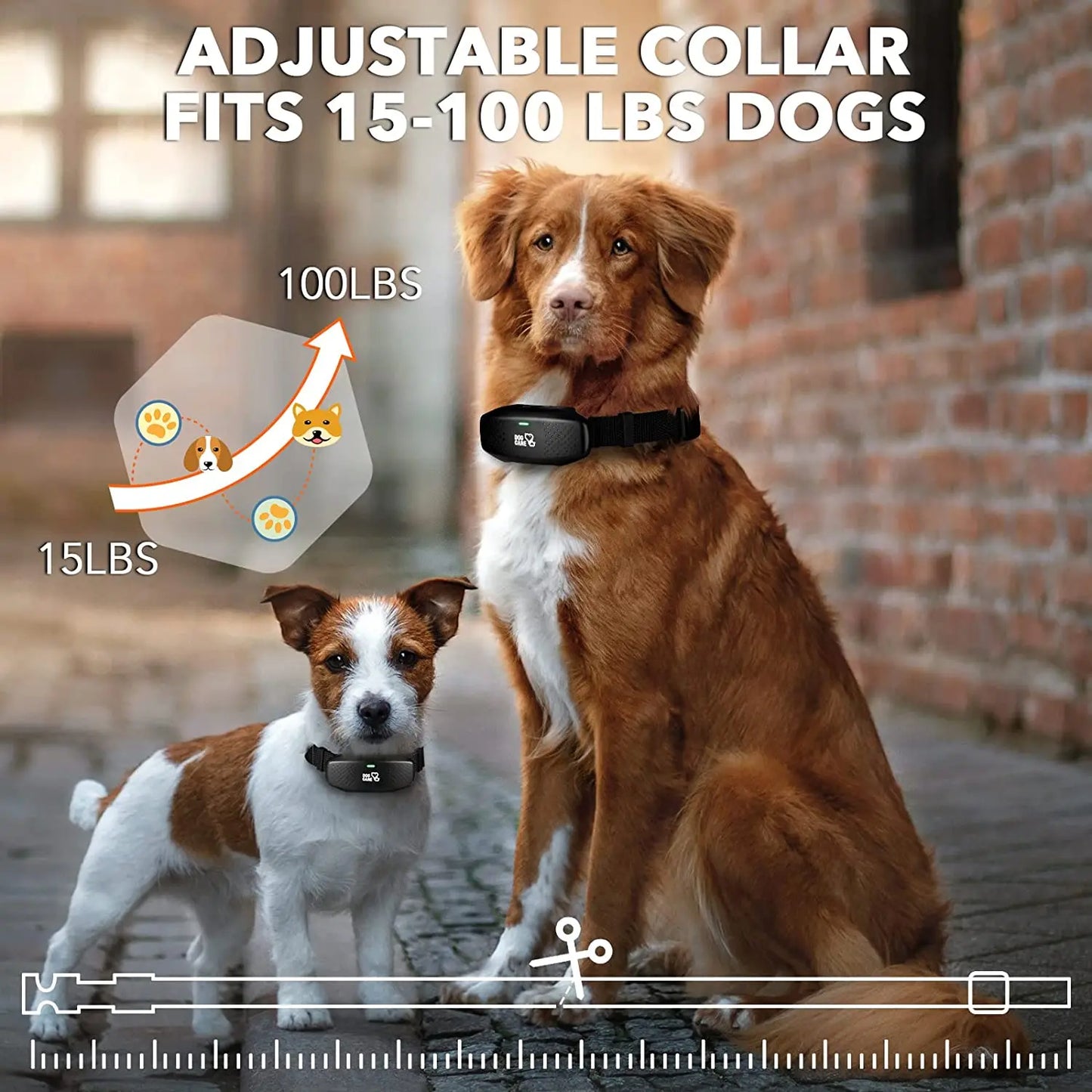 Rechargeable Digital Dog Shock Collar Waterproof