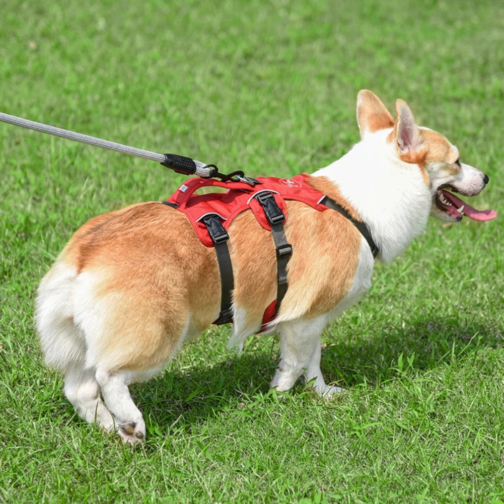 Reflective Medium and Large Pet Harness