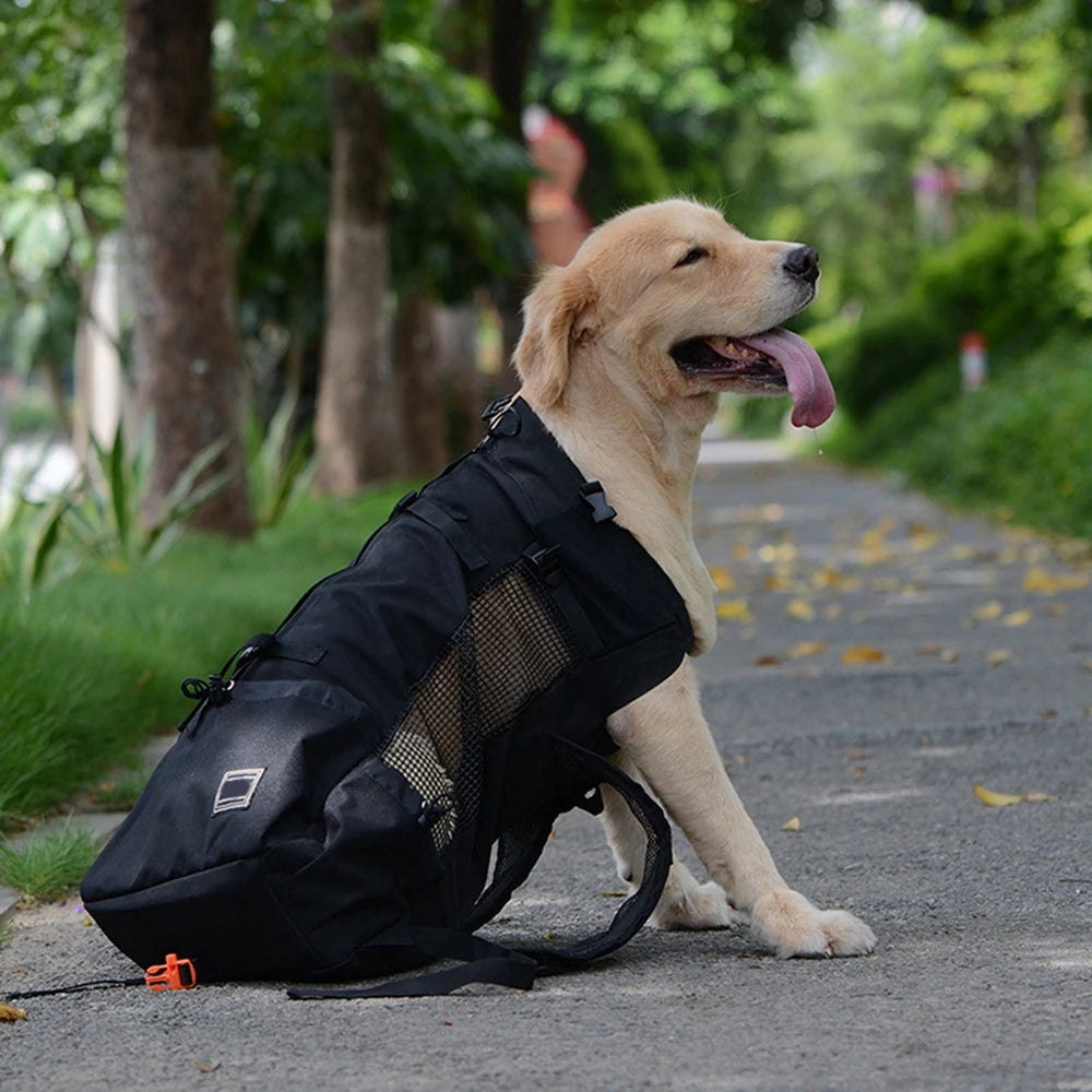 Breathable Shoulder Handle Pet Mesh Backpack For Small To Medium Pets