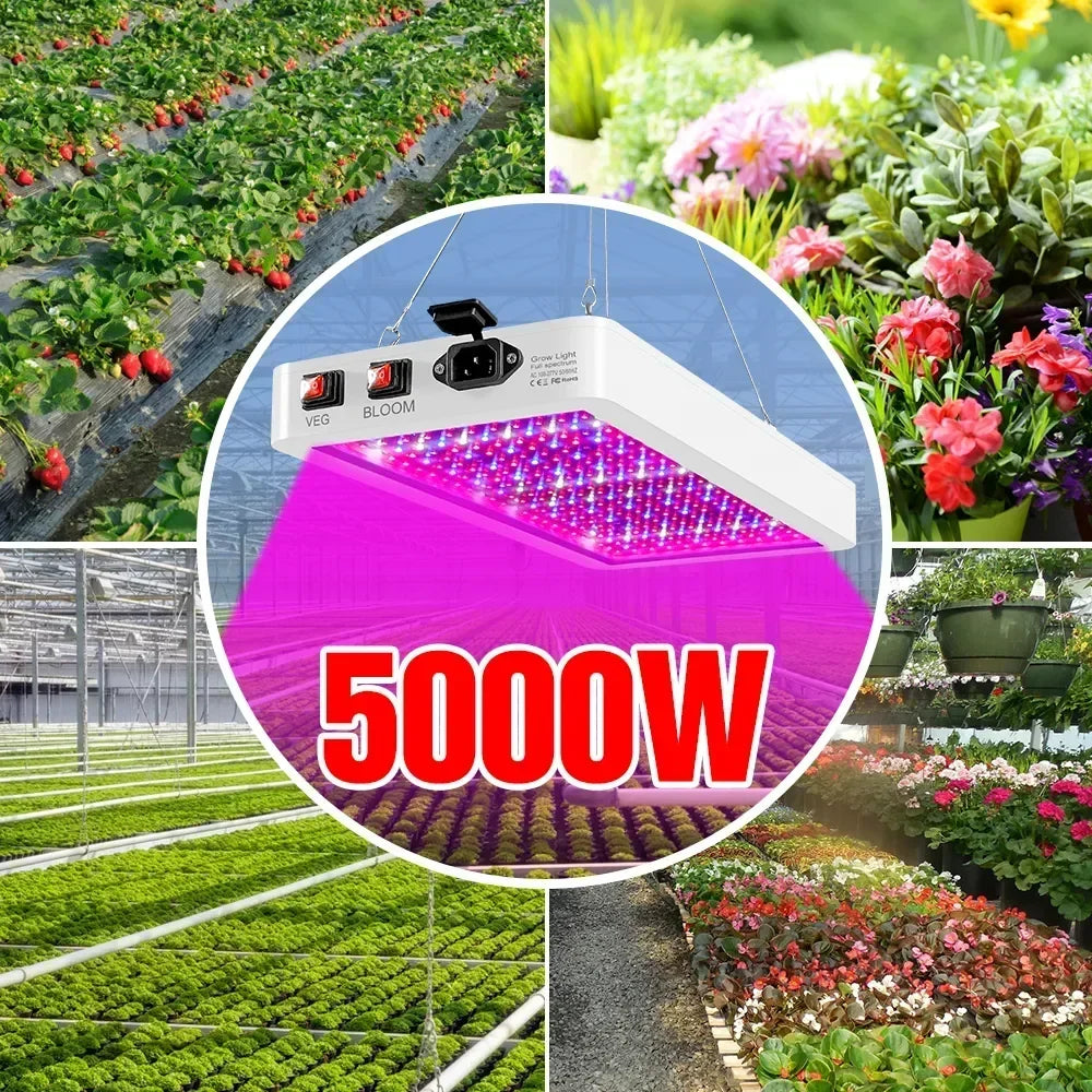 Full Spectrum LED Growing Light