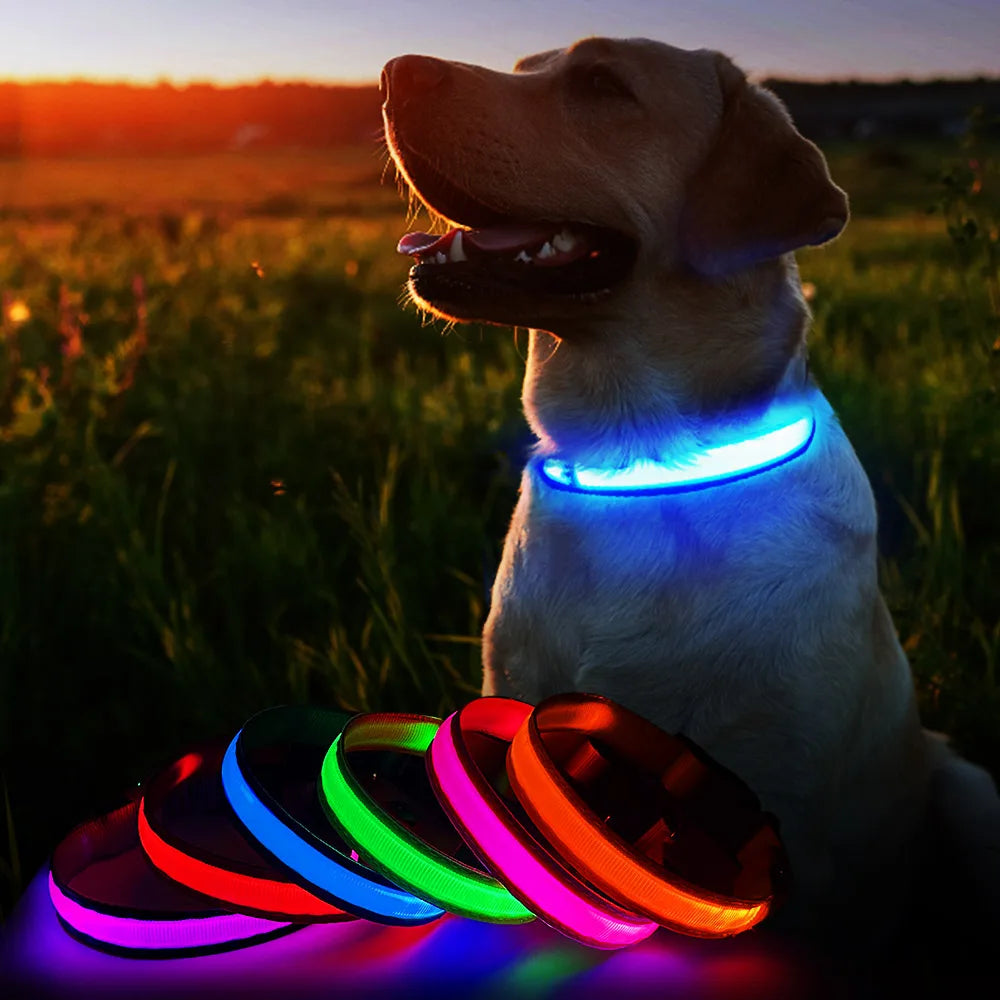 Luminous Pet Dog Collar