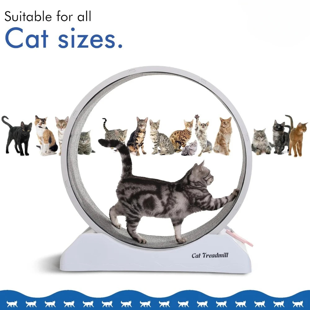 Cat Wheels for Indoor Cats Fitness & Health