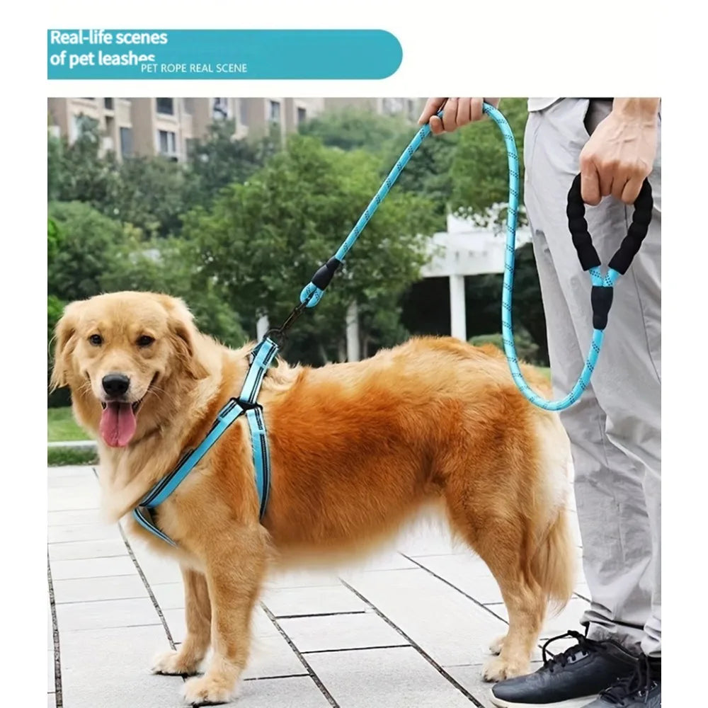 Soft Padded Handle Dog Leash